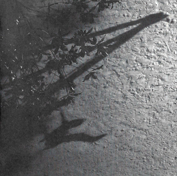 Max Richter - The Blue Notebooks