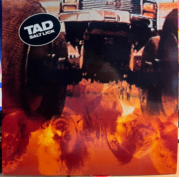 TAD - SALT LICK