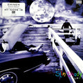 Eminem - The Slim Shady