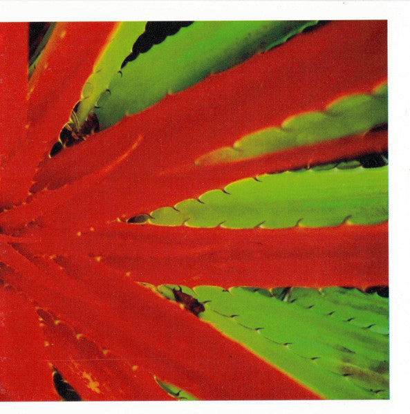 JEJUNE - THIS AFTERNOONS MALADY