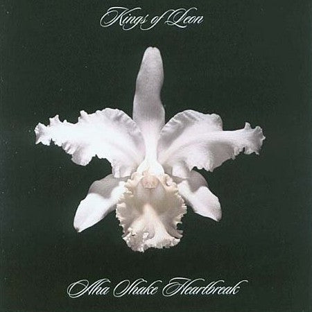 Kings Of Leon - AHA SHAKE HEARTBREAK