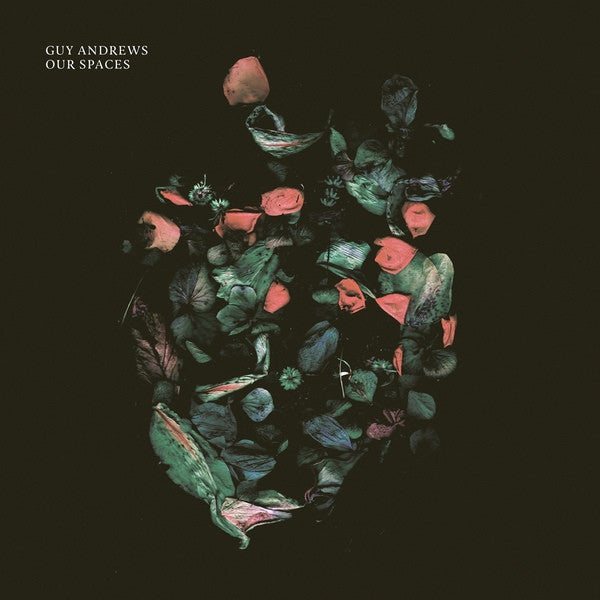 GUY ANDREWS - Our Spaces
