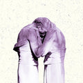 THE ANTLERS - FAMILIARS