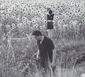 JESU/ SUN KIL MOON - JESU/ SUN KIL MOON