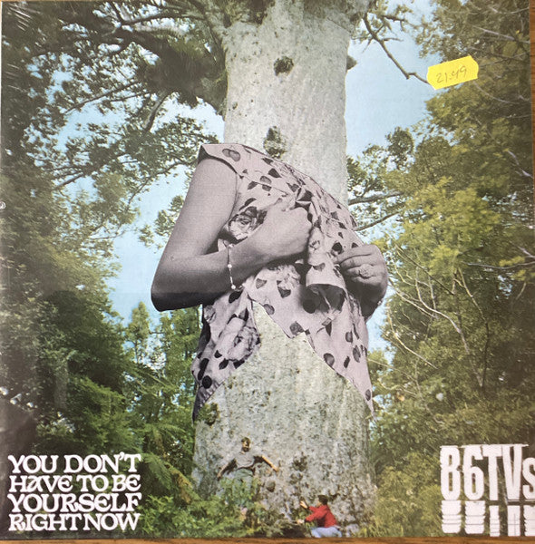 86TVs - You Don t Have To Be Yourself