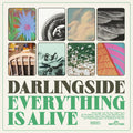 DARLINGSIDE - EVERYTHING IS ALIVE
