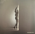 YONDER MOUNTAIN STRING BAND - NOWHERE NEXT