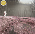 CAROLINA STORY - DANDELION