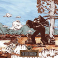 OKKERVIL RIVER - THE SILVER GYMNASIUM