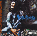 Busta Rhymes - When Disaster Strikes...