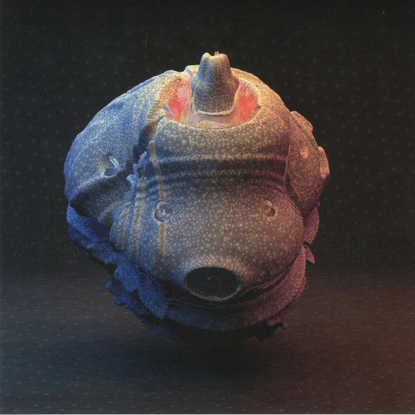 JOE GODDARD - SO MUCH