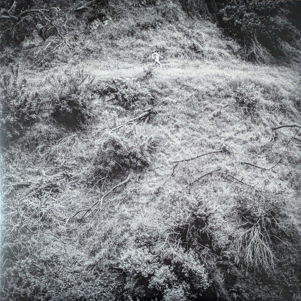 ANNA TIVEL - ANIMAL POEM