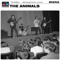 THE ANIMALS - BBC SATURDAY CLUB ☐65... AND MORE