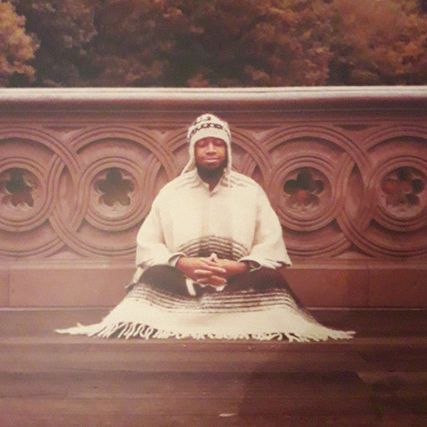 LARAAJI - Segue To Infinity