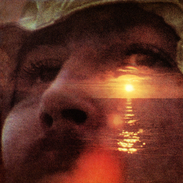 David Crosby - If I Could Only Remember My Na