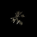 RESINA - TRACES - REMIXES