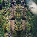 IRO HAARLA ELECTRIC ENSEMBLE - What Will We Leave Behind - Images From Planet Earth