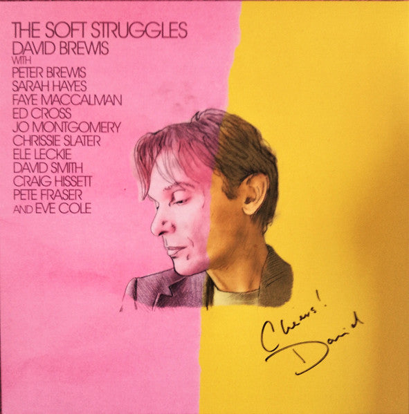 DAVID BREWIS - THE SOFT STRUGGLES