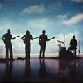 THE FEARLESS FLYERS - THE FEARLESS FLYERS V