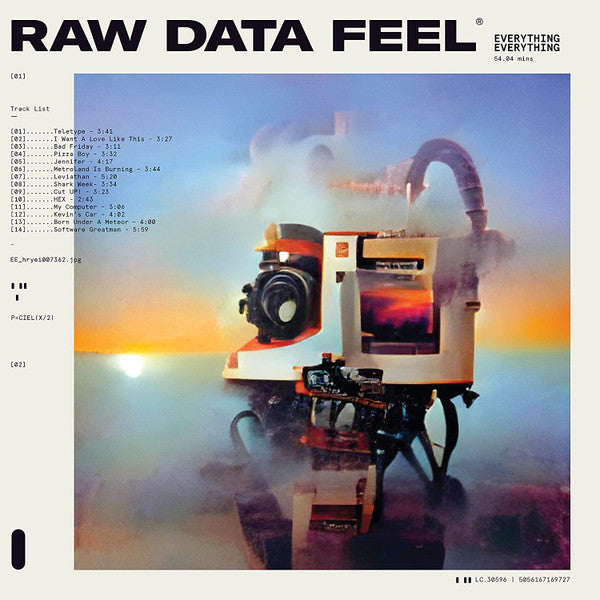 EVERYTHING EVERYTHING - RAW DATA FEEL