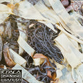 LULLAHUSH - ITHACA