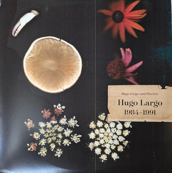 HUGO LARGO - Huge Large and Electric