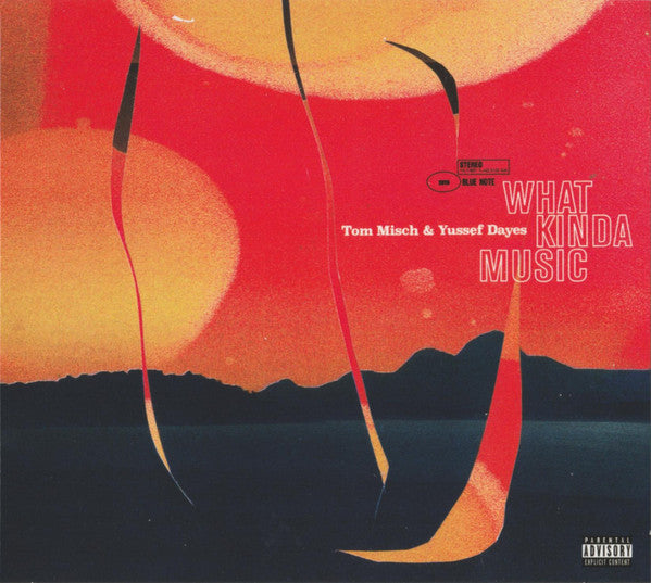 Tom Misch;Yussef Dayes - What Kinda Music