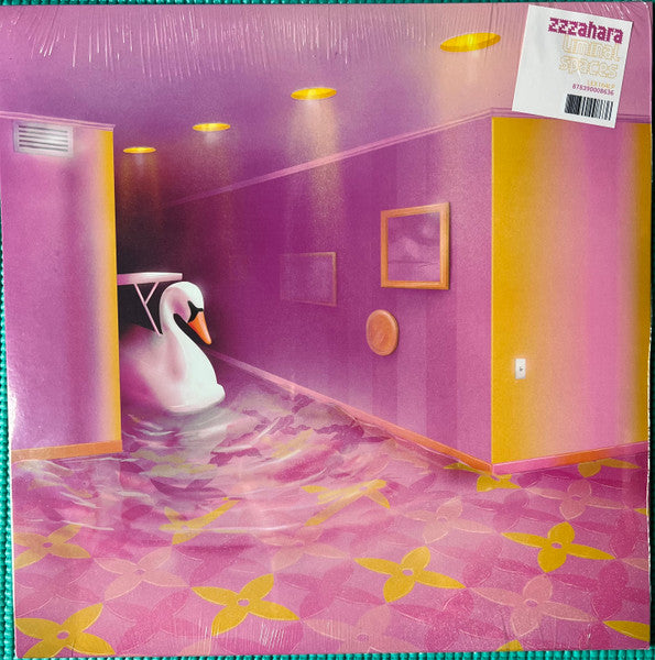 ZZZAHARA - Liminal Spaces
