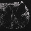 DEMON HEAD - VISCERA
