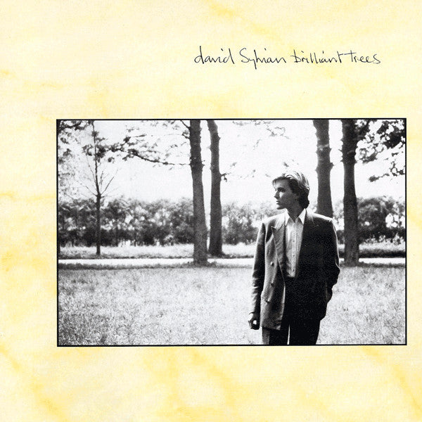 DAVID SYLVIAN - BRILLIANT TREES