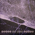 SPEED OF THE STARS (STEVE KILBEY AND FRANK KEARNS) - SPEED OF THE STARS