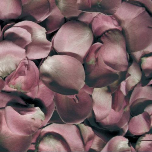 JAMBINAI - DIFFERANCE