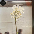 DAUGHTER - STEREO MIND GAME