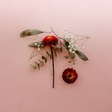 SUNSLEEPER - YOU CAN MISS SOMETHING & NOT W