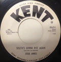 Jesse James - Red Hot Rockin' Blues/The South's Gonna Rise Again