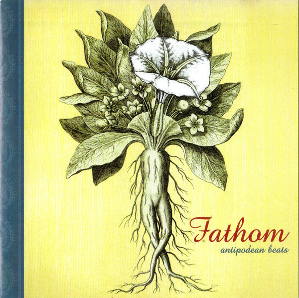 VARIOUS ARTISTS - STRUM & THRUM: THE AMERICAN JANGLE UNDERGROUND 1983-1987