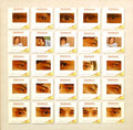JOHN CALE - THE ACADEMY IN PERIL