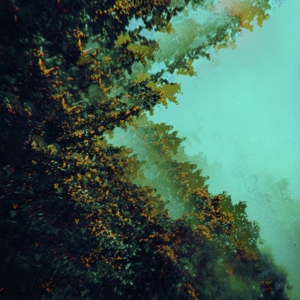 POLYMOON - CATERPILLARS OF CREATION