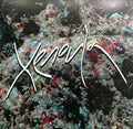 XENOULA - XENOULA
