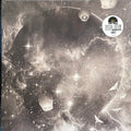 TRASHCAN SINATRAS - WILD PENDULUM (SILVER NUMBERED
