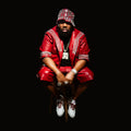 RAEKWON - THE EMPEROR'S NEW CLOTHES