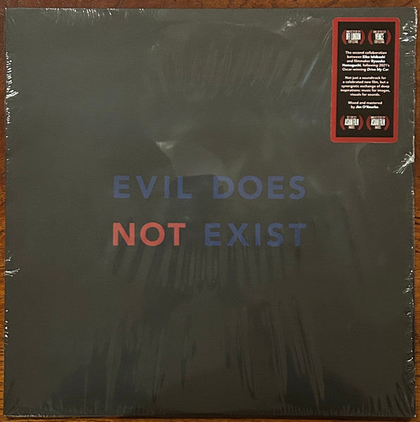 EIKO ISHIBASHI - EVIL DOES NOT EXIST