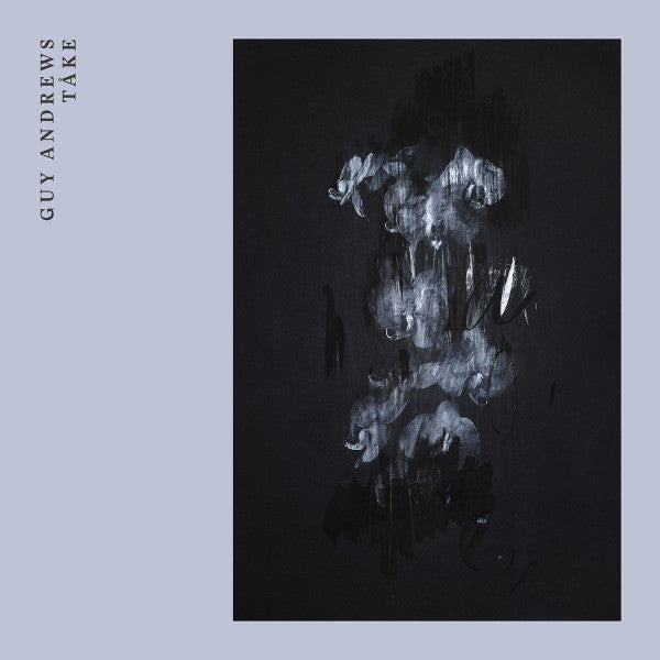 GUY ANDREWS - Tåke