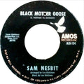 Sam Nesbit - Black Mother Goose / Chase Those Clouds Away