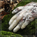 ANTWOOD - VIRTUOUS.SCR