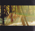CHILDISH GAMBINO - CAMP