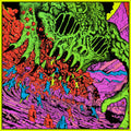 KING GIZZARD AND THE LIZARD WI - LIVE IN AUSTIN