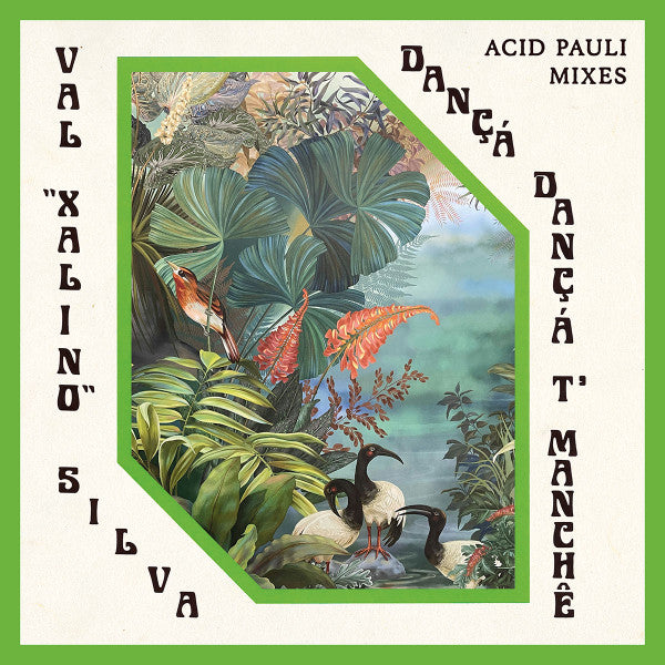 VAL XALINO / ACID PAULI - DANCA DANCA TMANCHE (ACID PAULI MIXES)