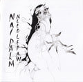 NAI PALM - NEEDLE PAW