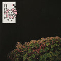 DVR - TAPE_01 + THRU THE CITY